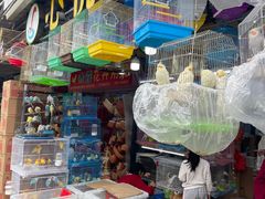 -溪岸路花鸟市场