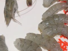 -尹珍珠·韩式无限烤肉(回龙湾店)