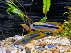 -上海海洋水族馆