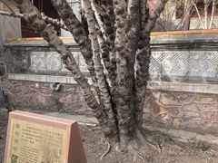 -潭柘寺景区