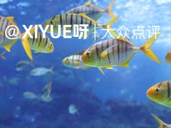-海合安成都极地海洋公园