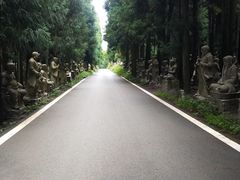 -武陵山森林公园