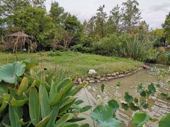 -上海野生动物园