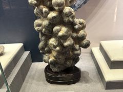 -贵州省地质博物馆