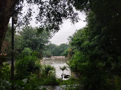 -广州长隆飞鸟乐园