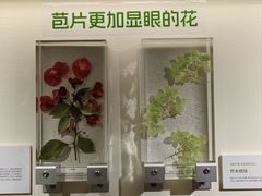 -中国湿地博物馆