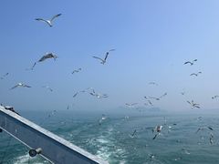 -海驴岛(荣成市)