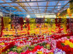 -吉祥圣雪藏餐