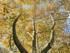 -浙江大学(玉泉校区)