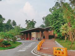 -美的鹭湖森林度假区