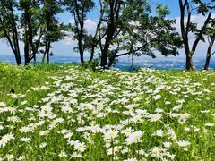 -长春公园(普阳街道)