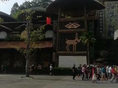 -海南槟榔谷黎苗文化旅游区