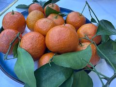-黄牛肉馆·皖南土菜