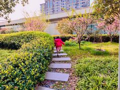 小区环境-经纬·泓汇地标家园