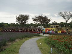 -歌斐颂巧克力小镇