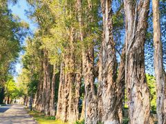 -广东外语外贸大学(白云山校区)