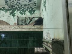 -石家庄市动物园