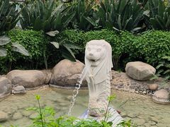 -南宫五洲植物乐园