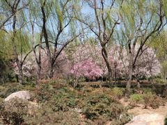 -洛阳市隋唐城遗址植物园