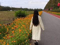 -上海长兴岛郊野公园