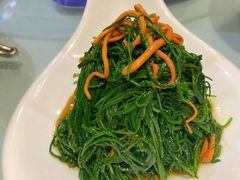 -蒙古大营·蒙古演绎餐厅(赛马场店)