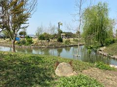 -鹅湖玫瑰文化园