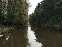 -上海滨江森林公园