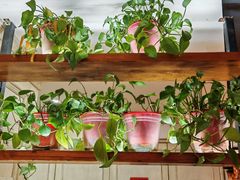 -品大三·经典淮扬菜(大行宫店)