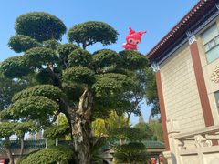 -荆州博物馆