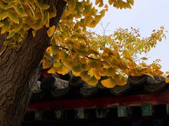 -北京石刻艺术博物馆(五塔寺)