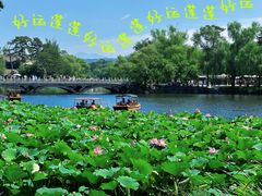 -承德避暑山庄景区