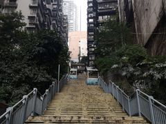 -大王油茶(磁器口店)