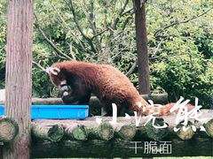 -宁波野生动物园