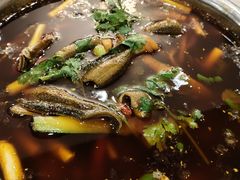 冷锅脆鳝鱼-高坎一品甲鱼庄(两河店)