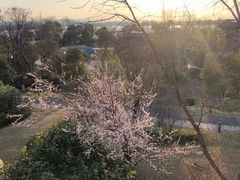 -光谷希尔顿酒店-厨意意大利餐厅(鸿雁路店)