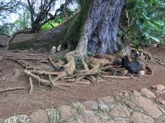 -钻石头山