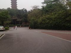 -三水森林公园