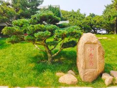 -青岛海滨风景区小青岛