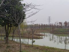 -金卉庄园