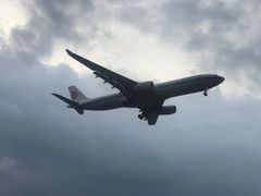 -空港花田景区