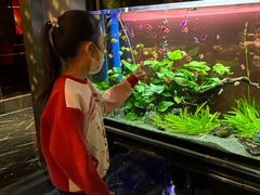 -小河盐帮·私家菜·烤鸭(三元桥·霄云路店)