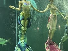 -龙谷湾旅游休闲度假区