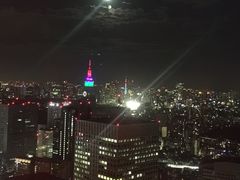 -东京都厅舍