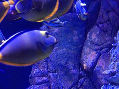 -成都浩海立方海洋公园