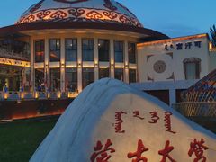-蒙古大营·蒙古演绎餐厅(赛马场店)