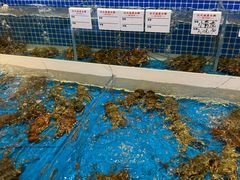 -桂园白粥·潮汕老味道
