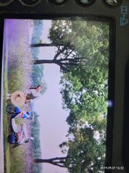 -大树儿童摄影