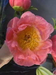 -花隐·美芙炫海菲秀皮肤管理中心