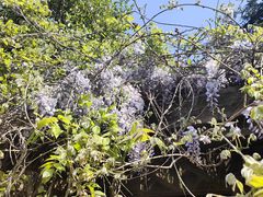-白塘生态植物园