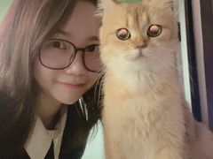 -柯斗斗主题餐厅·狗咖·围炉煮茶·茶饮(国瑞升平里店)